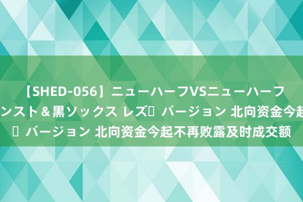 【SHED-056】ニューハーフVSニューハーフ 不純同性肛遊 3 黒パンスト＆黒ソックス レズ・バージョン 北向资金今起不再败露及时成交额