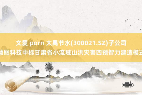 文爱 porn 大禹节水(300021.SZ)子公司慧图科技中标甘肃省小流域山洪灾害四预智力建造模式