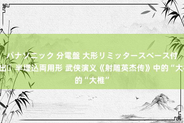 パナソニック 分電盤 大形リミッタースペース付 露出・半埋込両用形 武侠演义《射雕英杰传》中的“大椎”