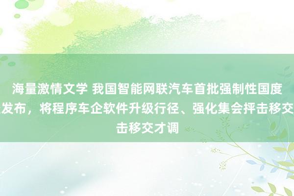 海量激情文学 我国智能网联汽车首批强制性国度门径发布，将程序车企软件升级行径、强化集会抨击移交才调